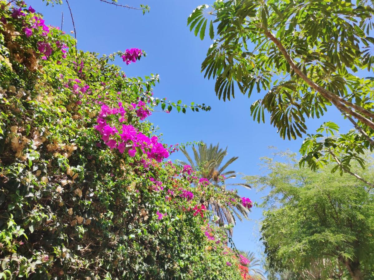 Villa Zinnia Playa Blanca (Lanzarote) Exterior foto